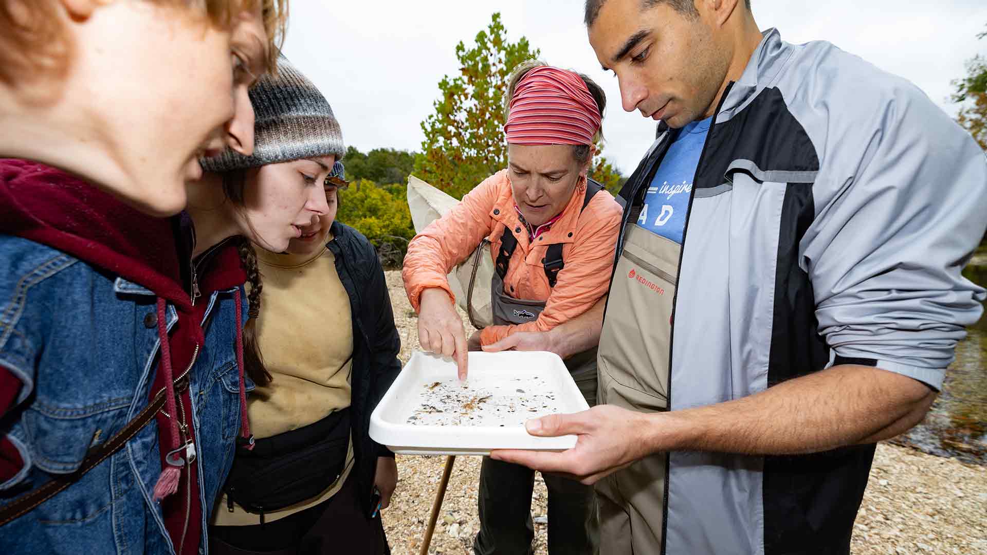 Biology students and a professor looking at samples collected from a creek