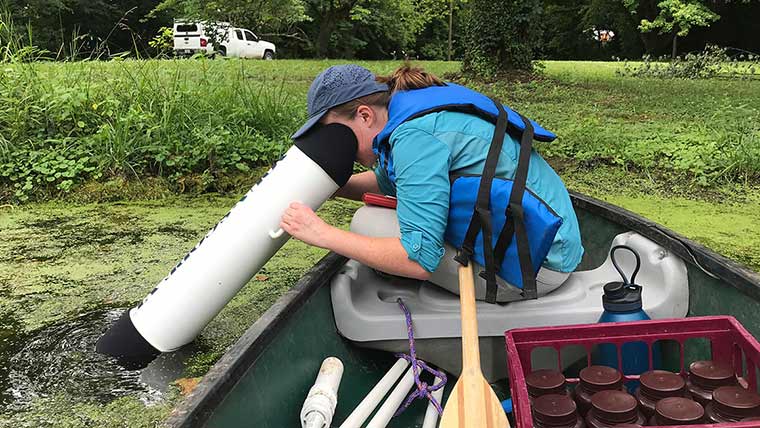A biology student looks through a long telescope to survey aquatic plants in a pond.