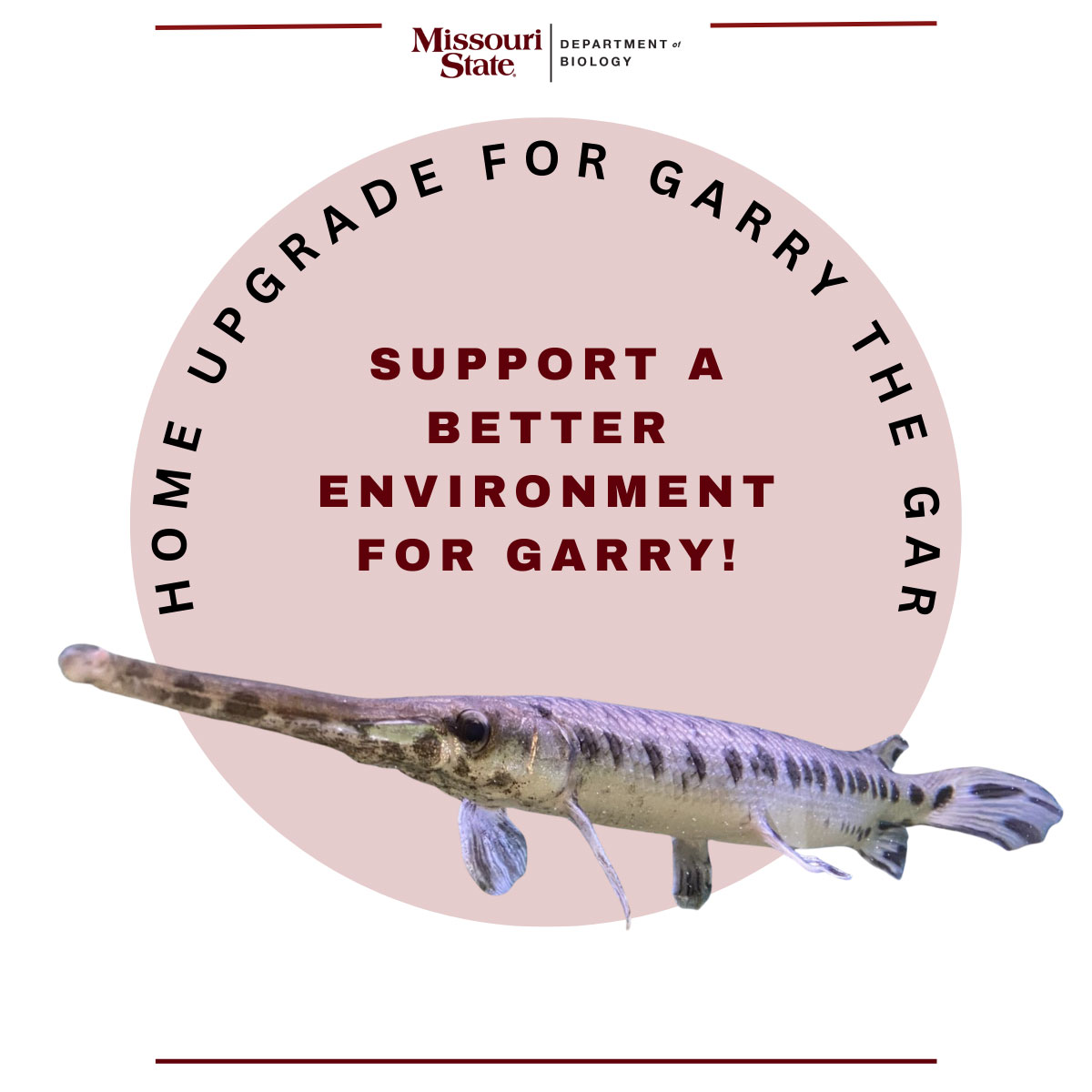 An image of Garry the Gar with text that says "Home upgrade for Gary the Gar" and "Support a better environment for Garry!"