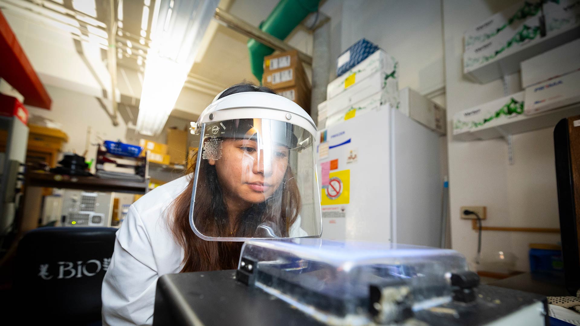 A biology graduate student wearing a plastic face shield takes a close look at a substance in a container.
