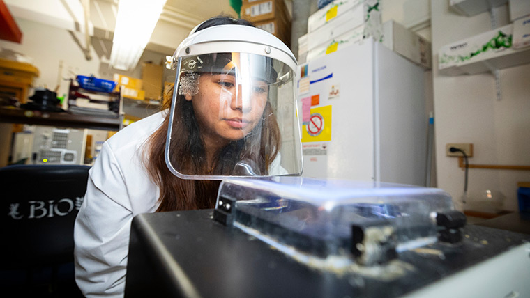 Rubina Sherchan, a biology graduate student, wearing a plastic face shield takes a close look at a substance in a container.
