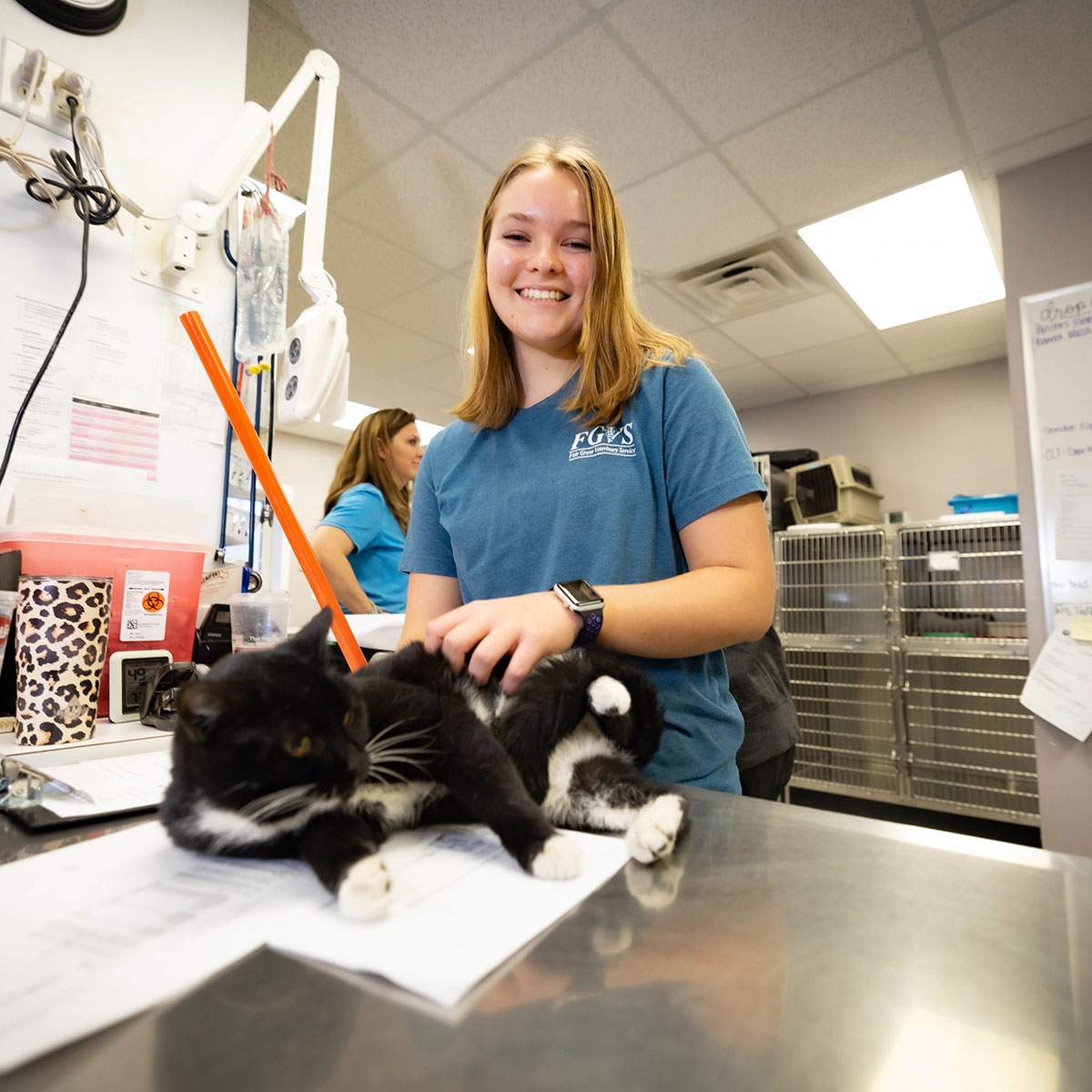 A pre-vet student working with a cat