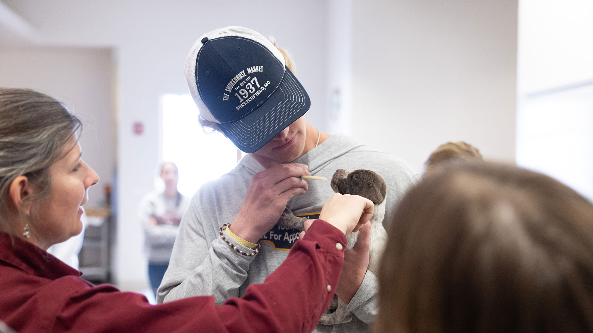 Student feeding a puppy as a faculty member supervises