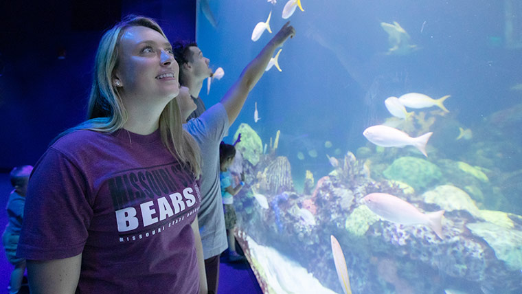 Students looking at a fish aquarium in awe.
